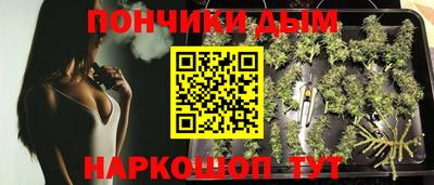 стафф Можга