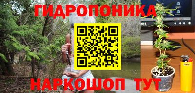 стафф Можга