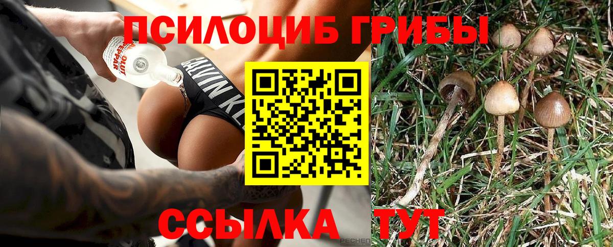 Галлюциногенные грибы мухоморы Славгород