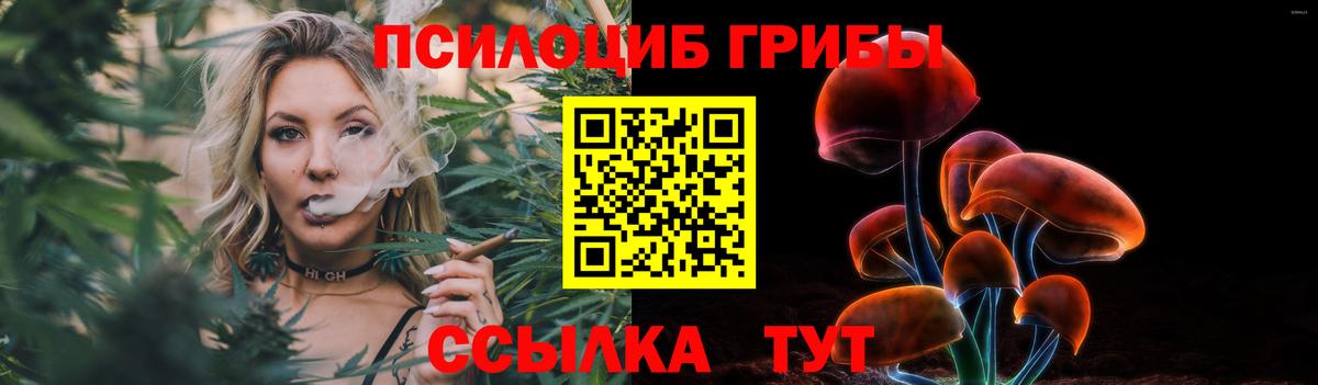 Галлюциногенные грибы Psilocybe  Вход с VPN  Славгород  Галлюциногенные грибы Cubensis 